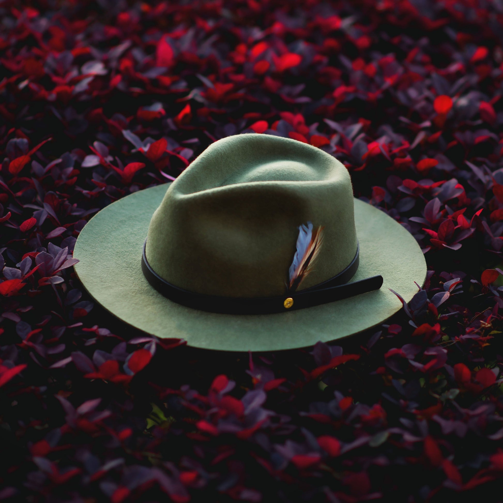 Dapper Men's Felt Fedora - Image 14